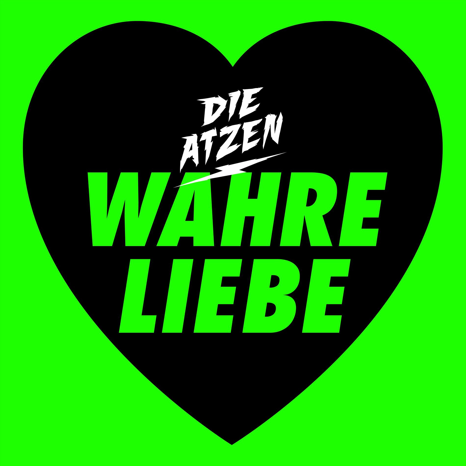 Album cover of WAHRE LIEBE ?