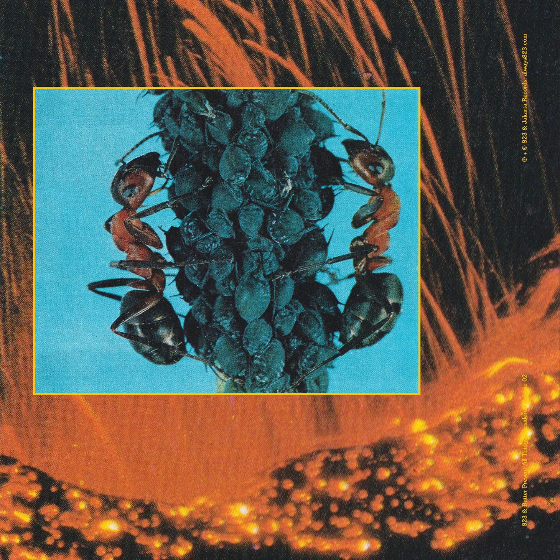 Album cover of senzu bean