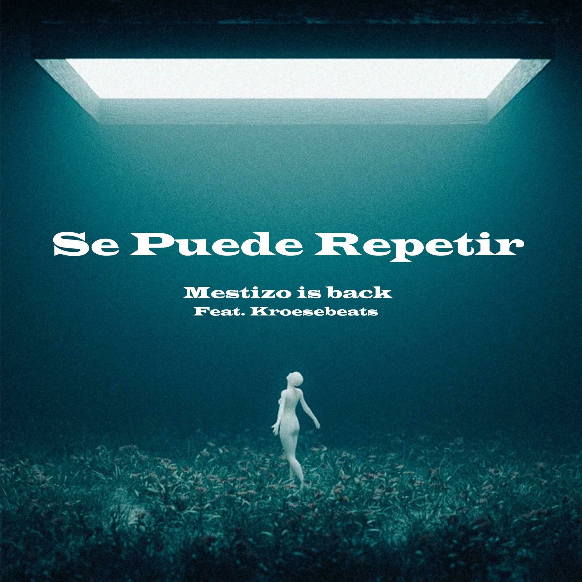 Album cover of Se Puede Repetir (feat. Mestizo Is Back) [Latin Tech House]