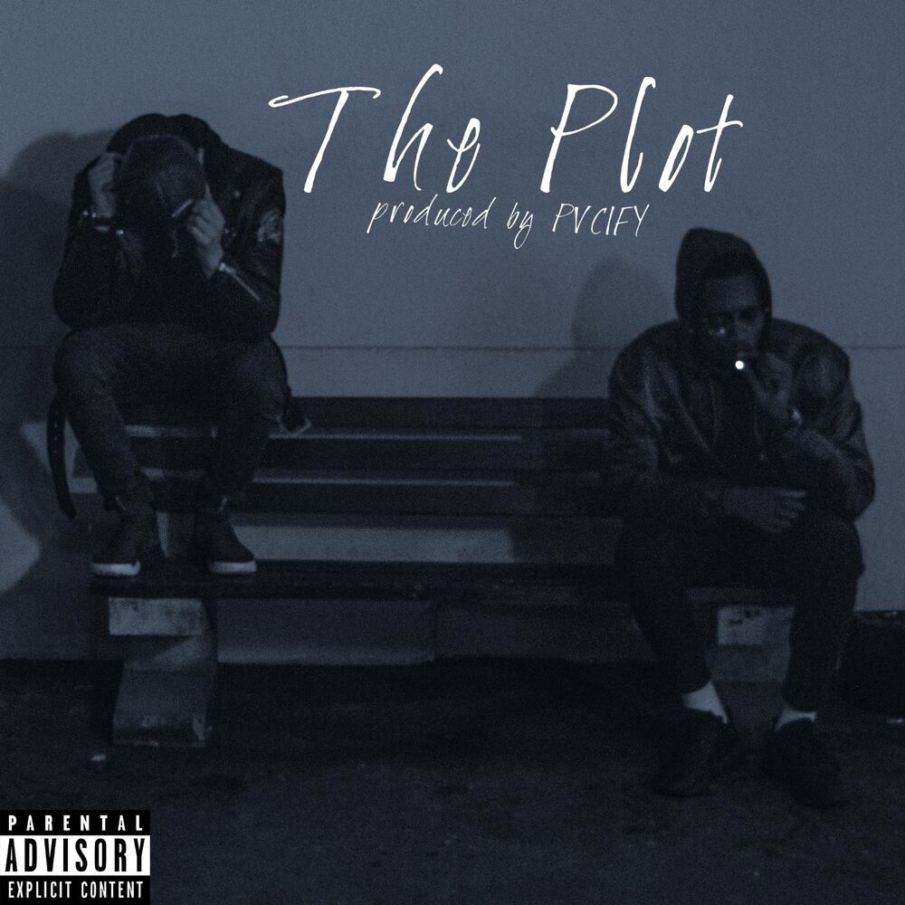 Picture of The Plot