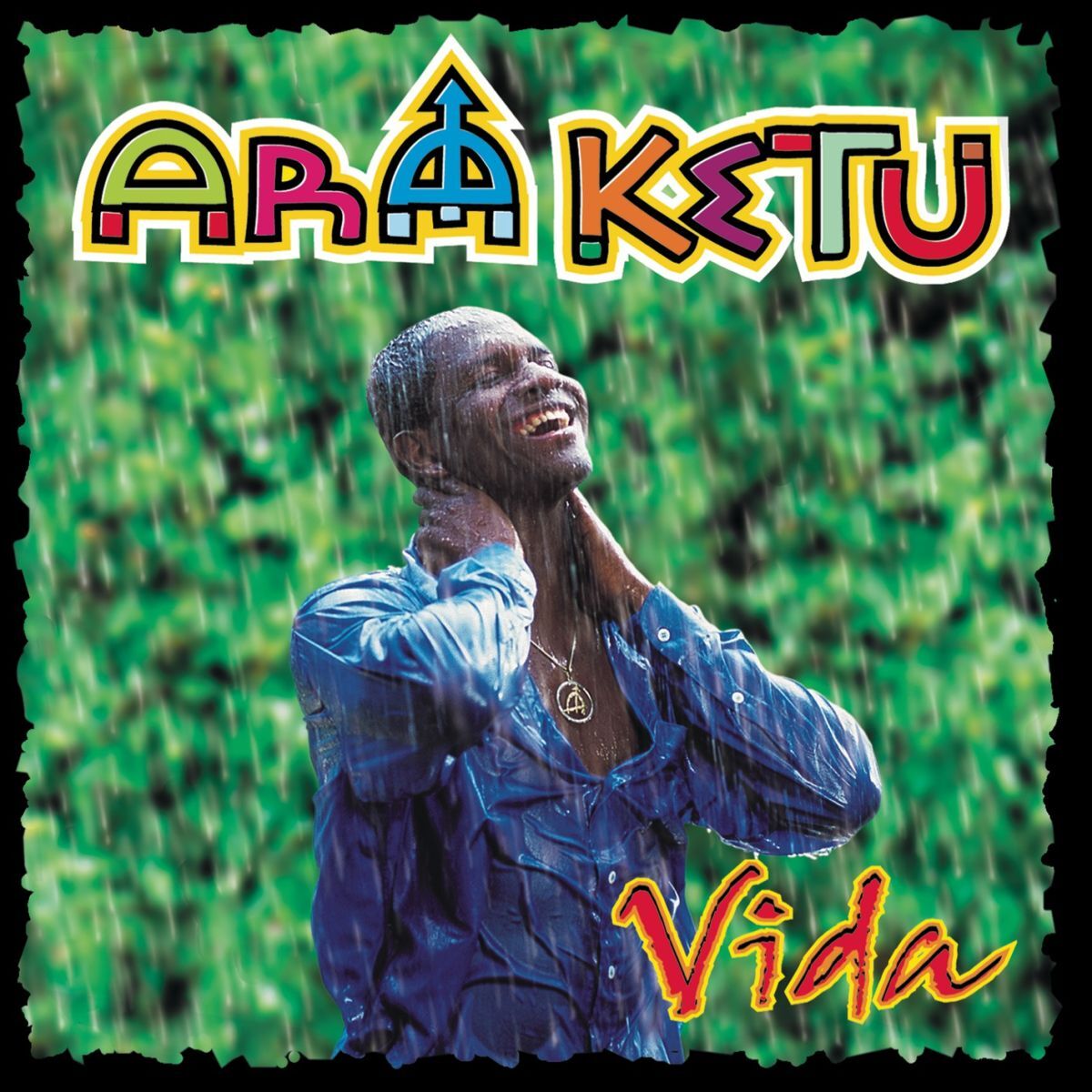 Album cover of Vida
