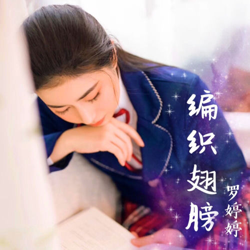 编织翅膀