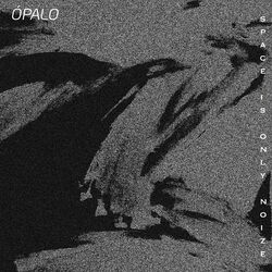 Cover of Space Is Only Noize