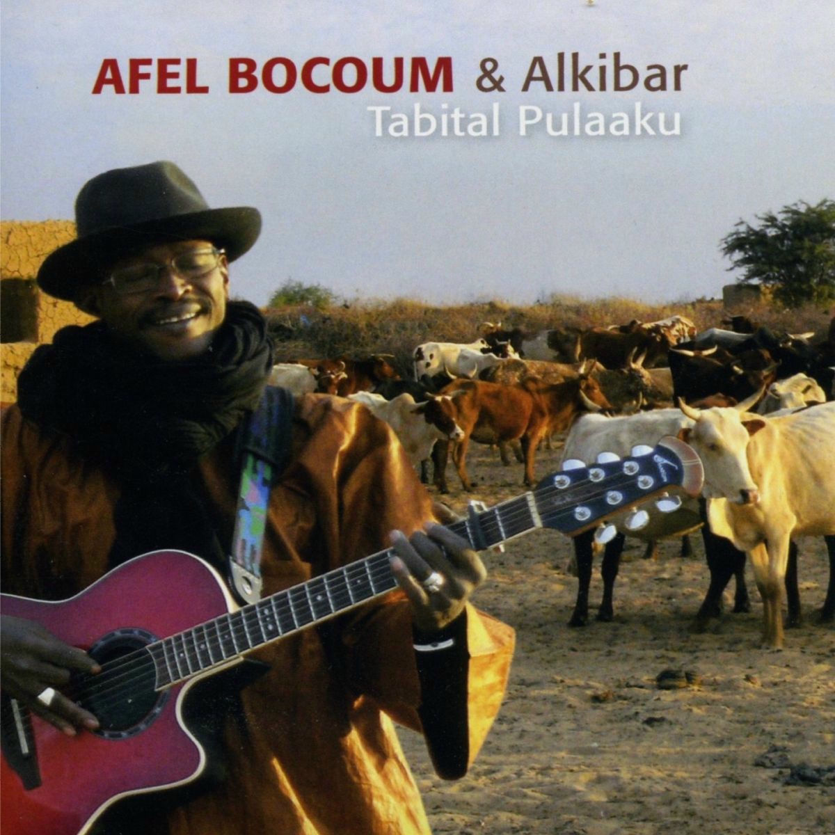 Album cover of Tabital Pulaaku