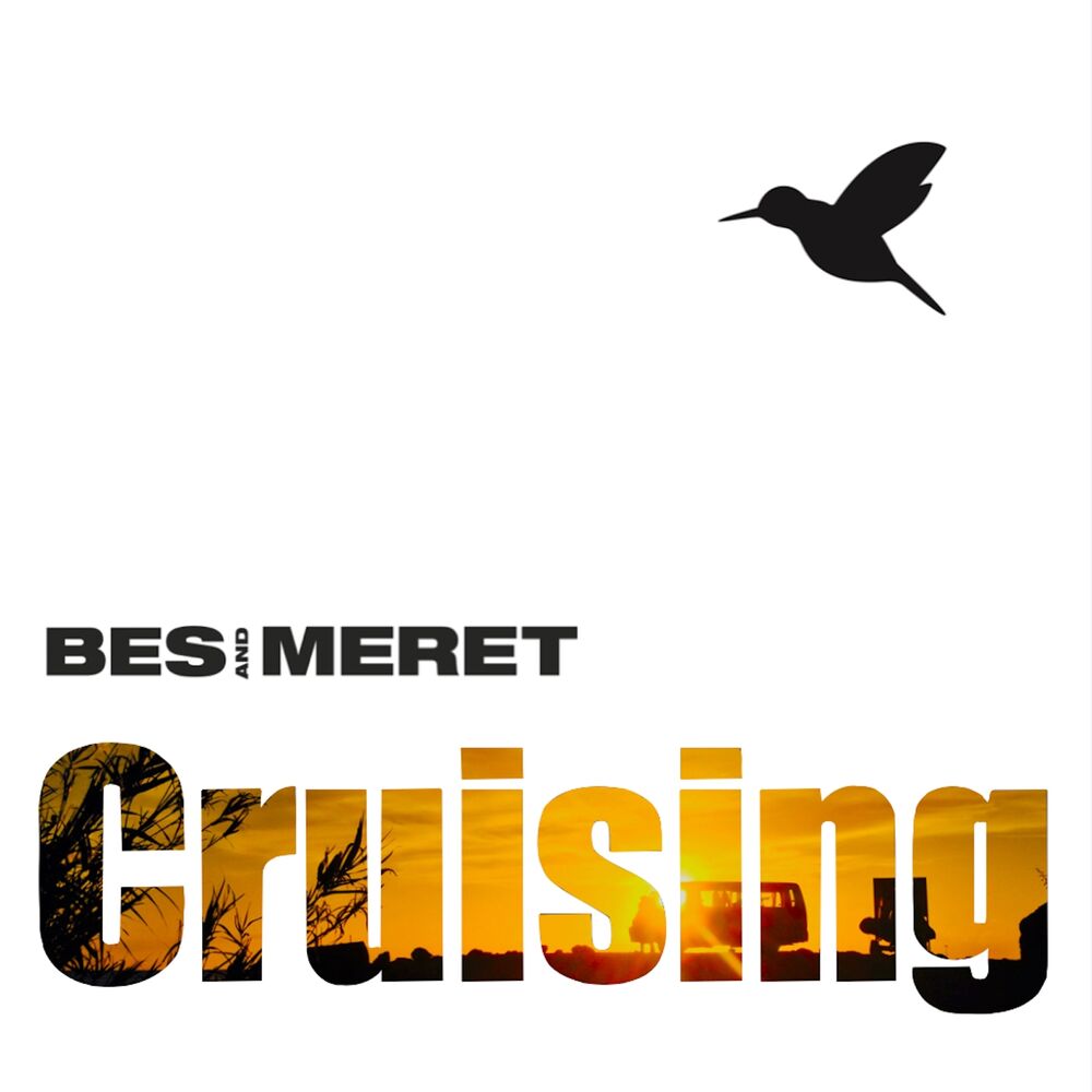 Picture of Cruising
