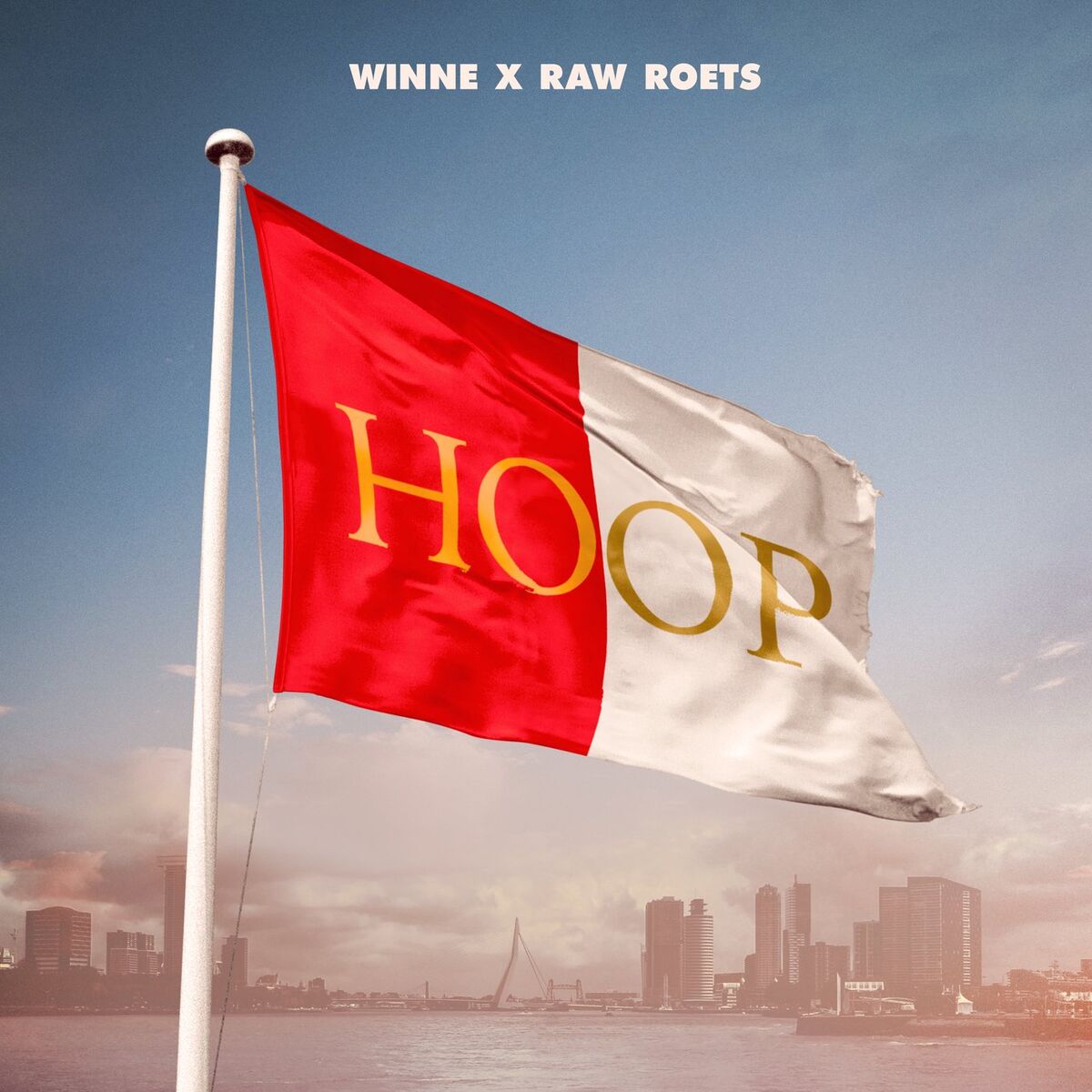 Album cover of Hoop