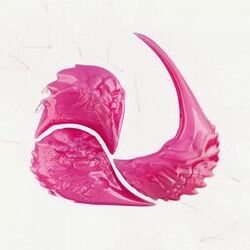 Swallow