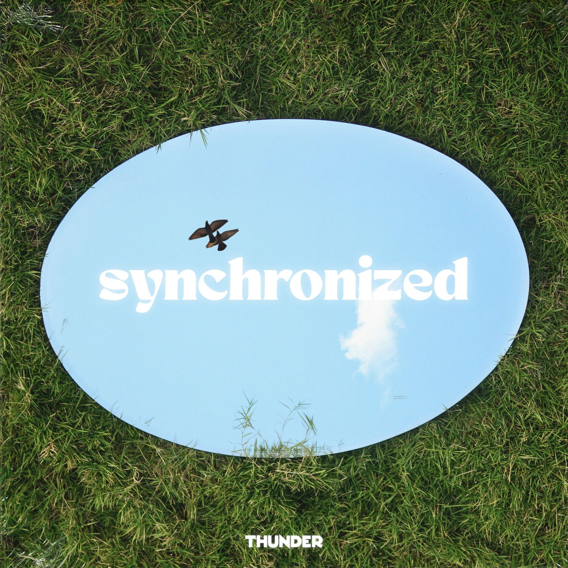 Album cover of Synchronized