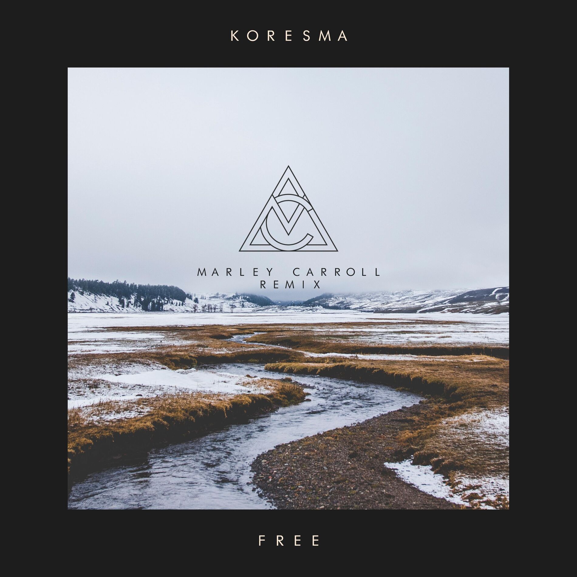 Album cover of Free (Marley Carroll Remix)