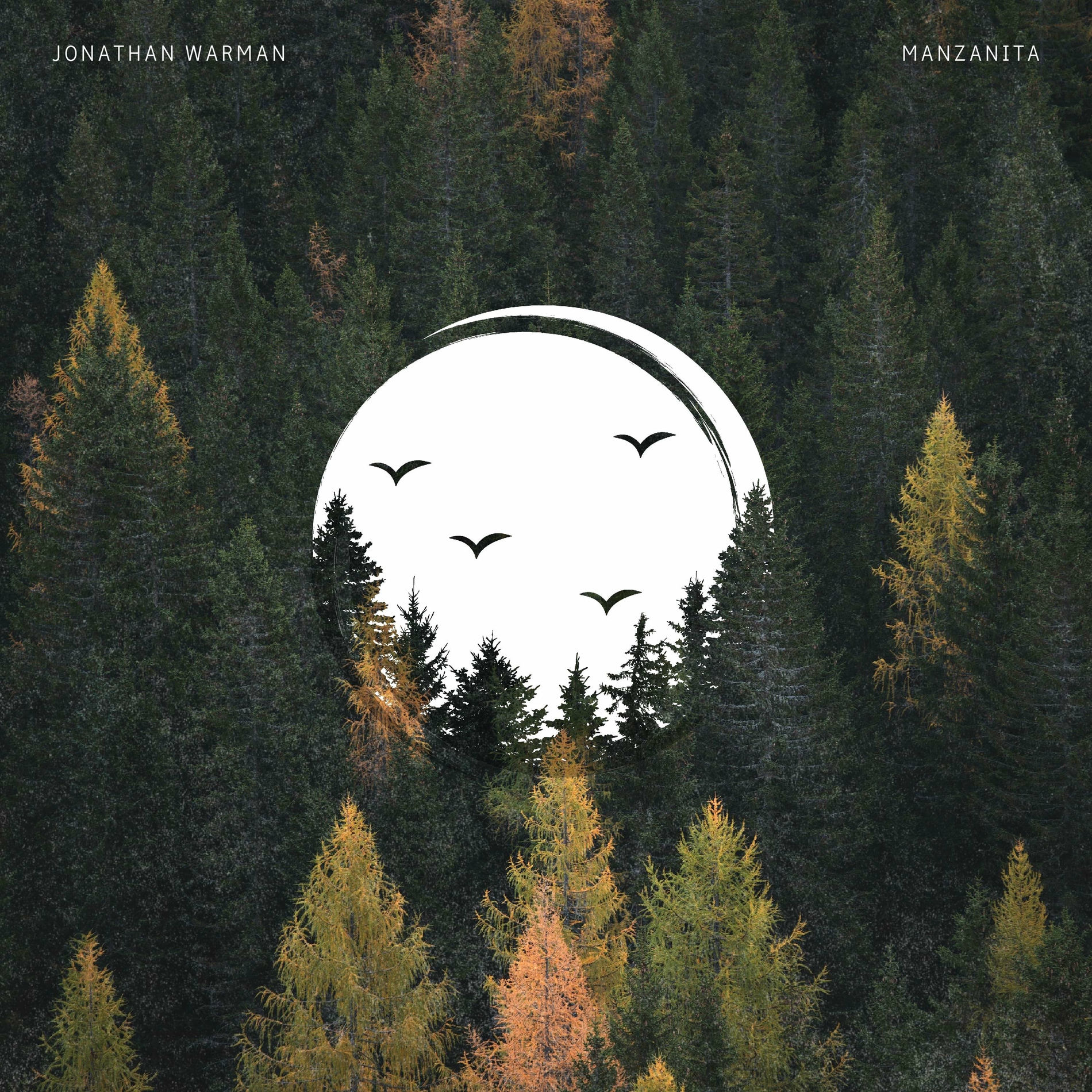 Album cover of Manzanita