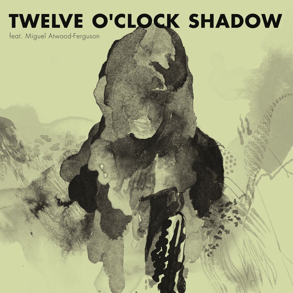Picture of Twelve O'Clock Shadow