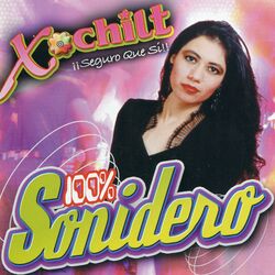 Cover of 100% Sonidero