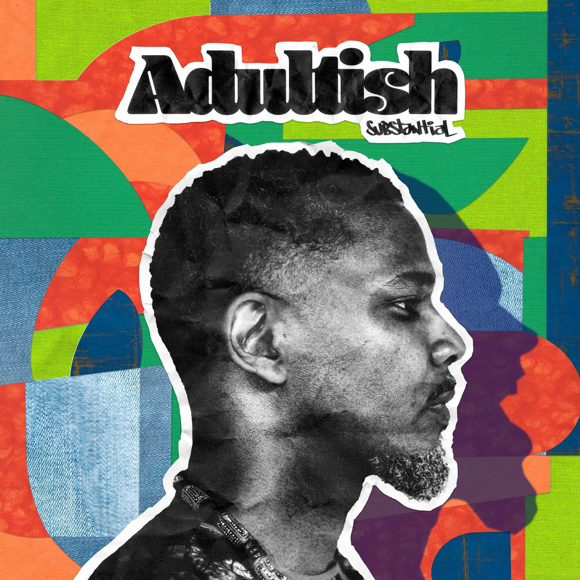 Album cover of Adultish