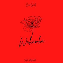Cover of Wahamba