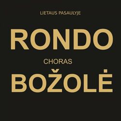 Cover of Lietaus Pasaulyje