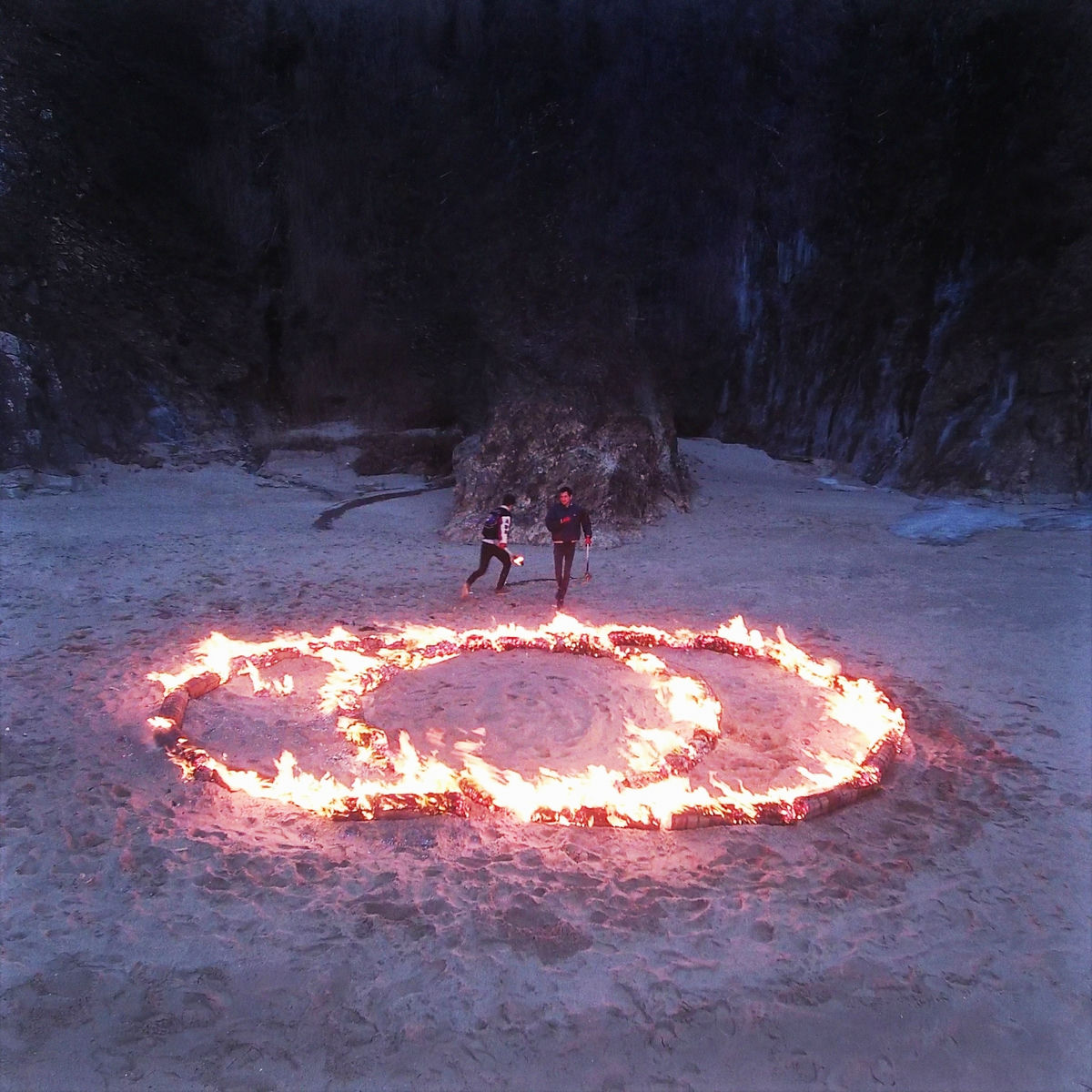 Album cover of Warriors