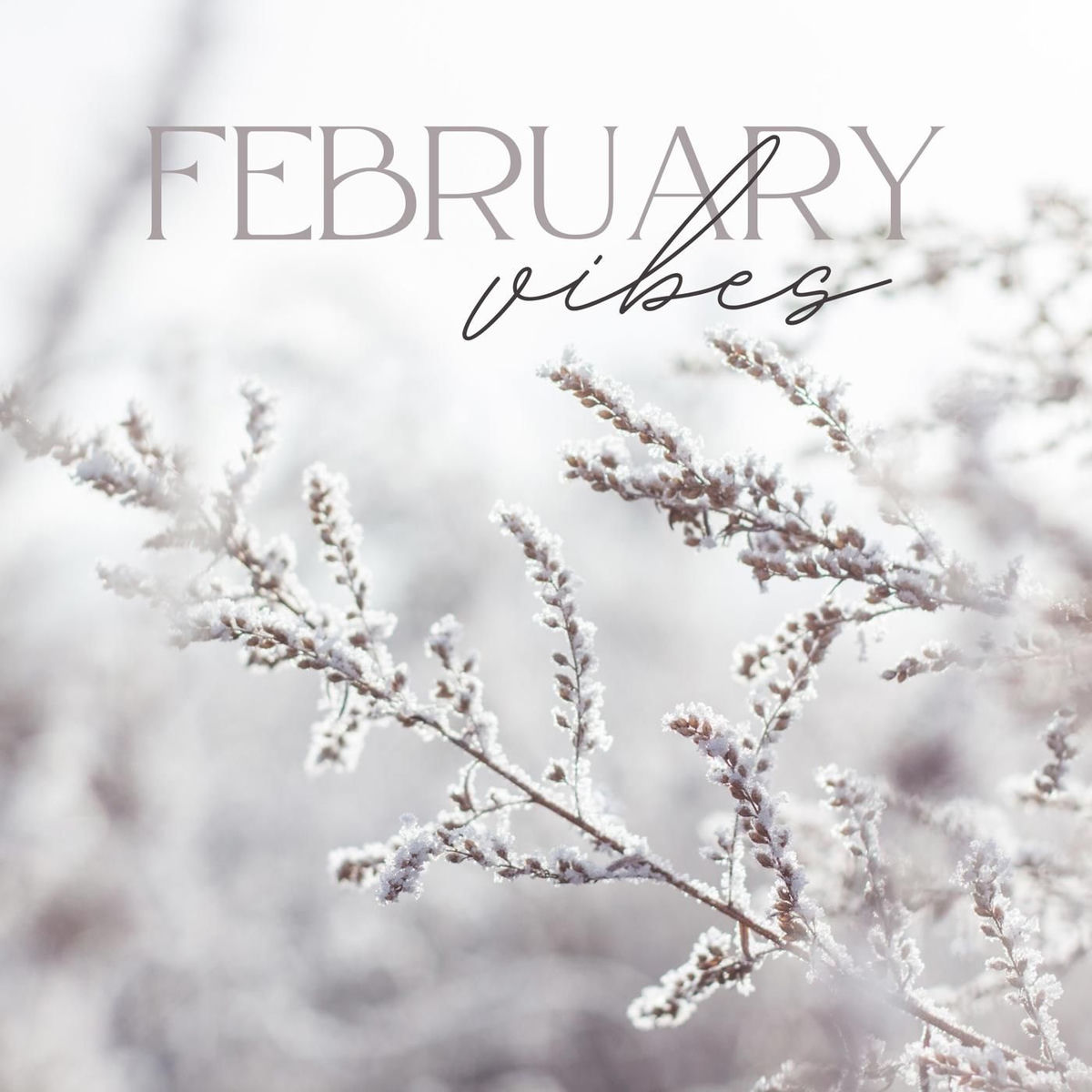 Album cover of February Vibes