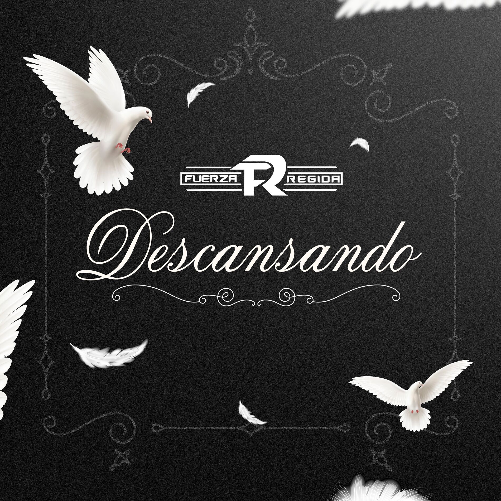 Album cover of Descansando