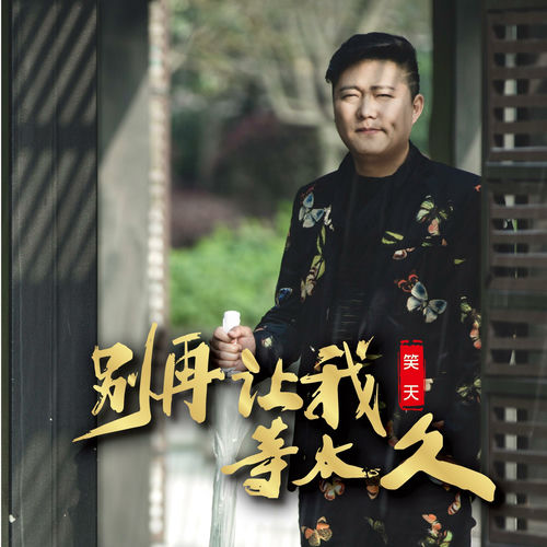 别再让我等太久 (DJ沈念版)