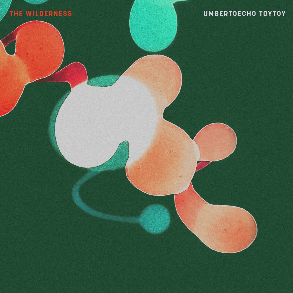 Album cover of The Wilderness