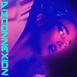 Cover of Disconnexion