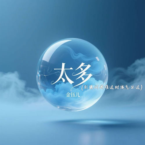 太多 (别再问我难过时候怎么过)