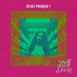 Cover of DÉSOLÉ POURQUOI ?