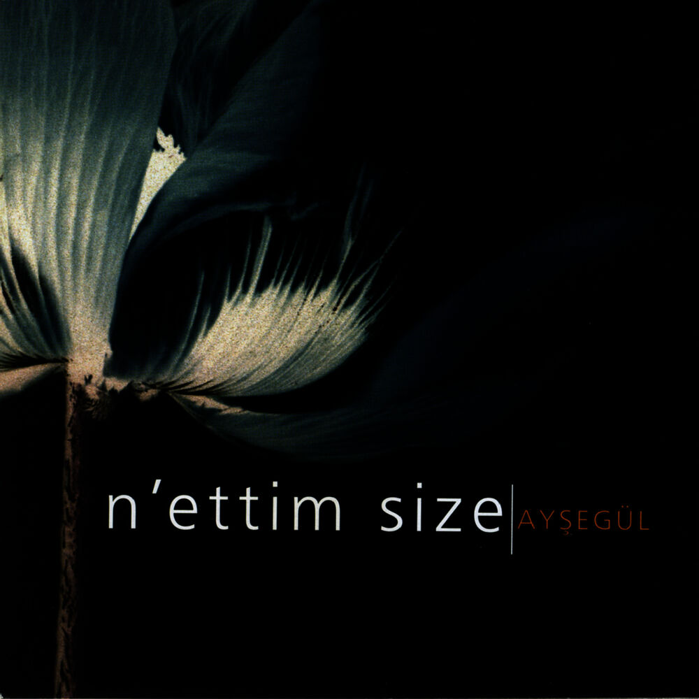 Picture of N'ettim Size