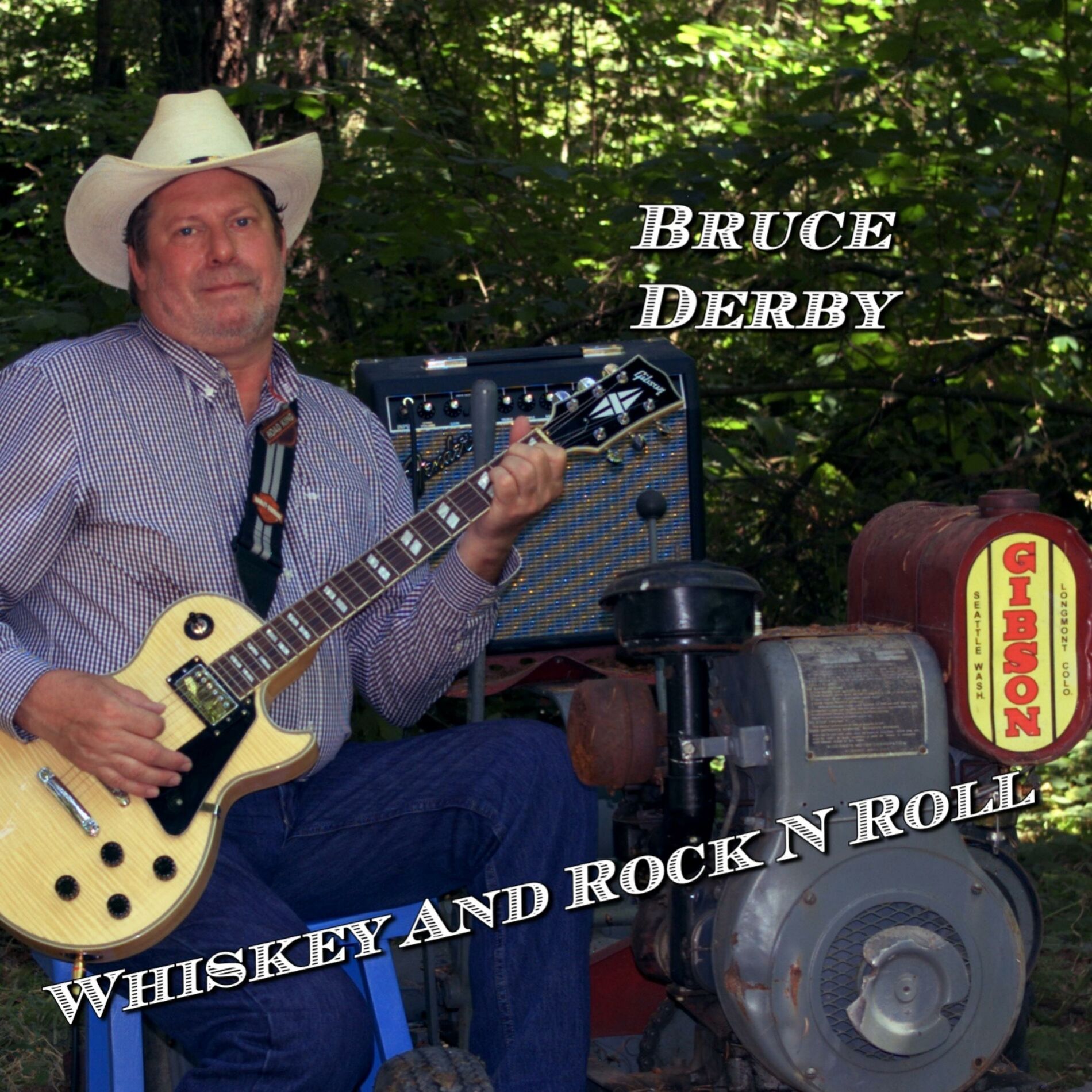 Album cover of Whiskey and Rock n' Roll