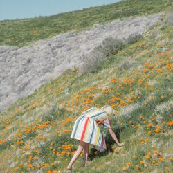 Cover of For Forever