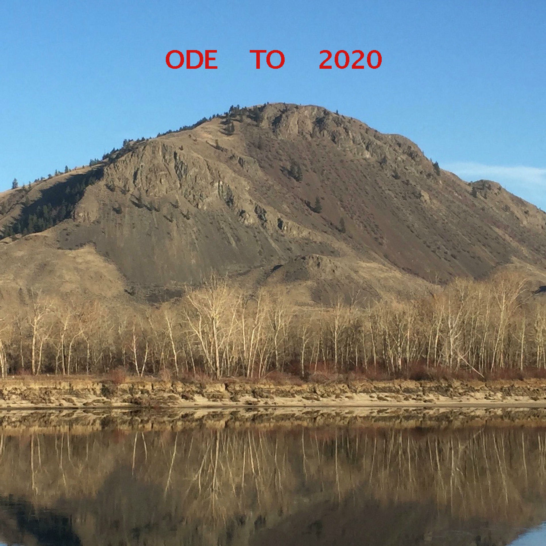 Album cover of Ode To 2020