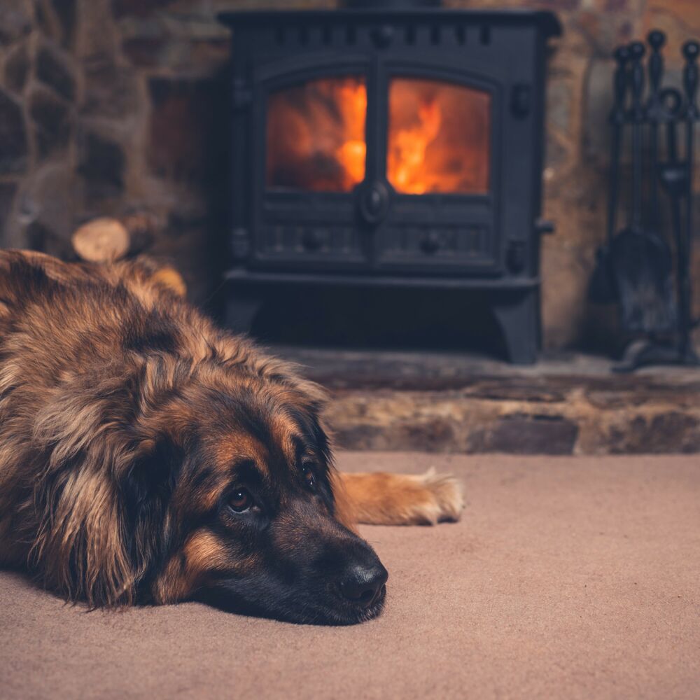 Picture of Doggie Bonfire: Fire Music for Dogs