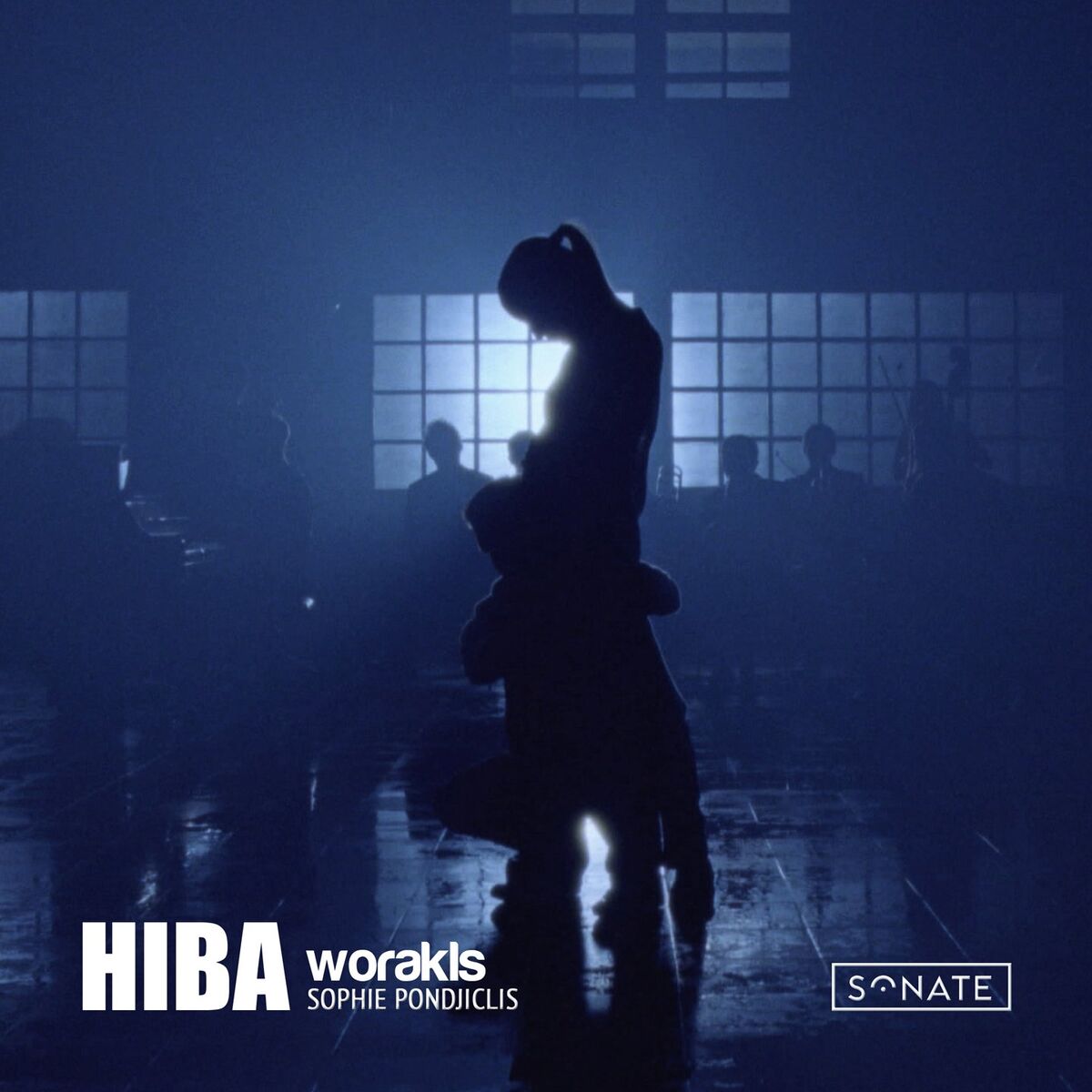 Album cover of Hiba