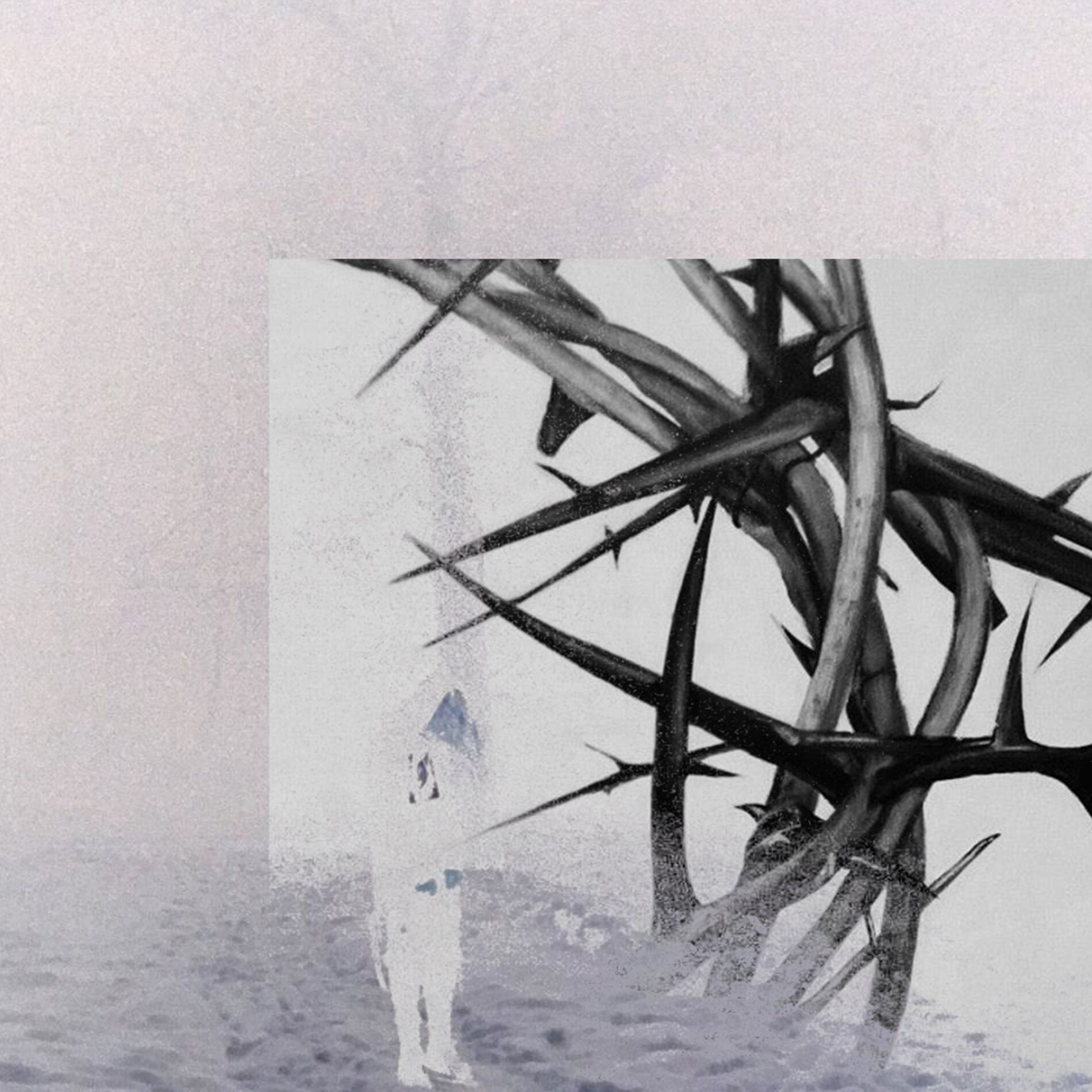 Album cover of Плоть