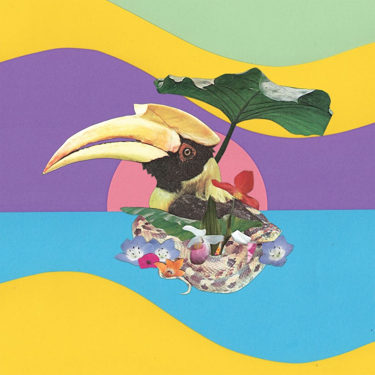 Album cover of Flowering Jungle
