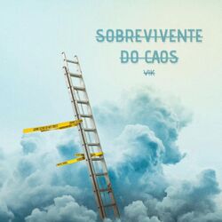 Cover of Sobrevivente Do Caos