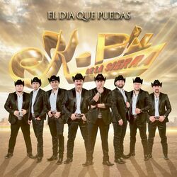 Cover of El Dia Que Puedas