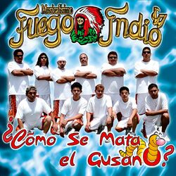 Cover of ¿Cómo Se Mata el Gusano?