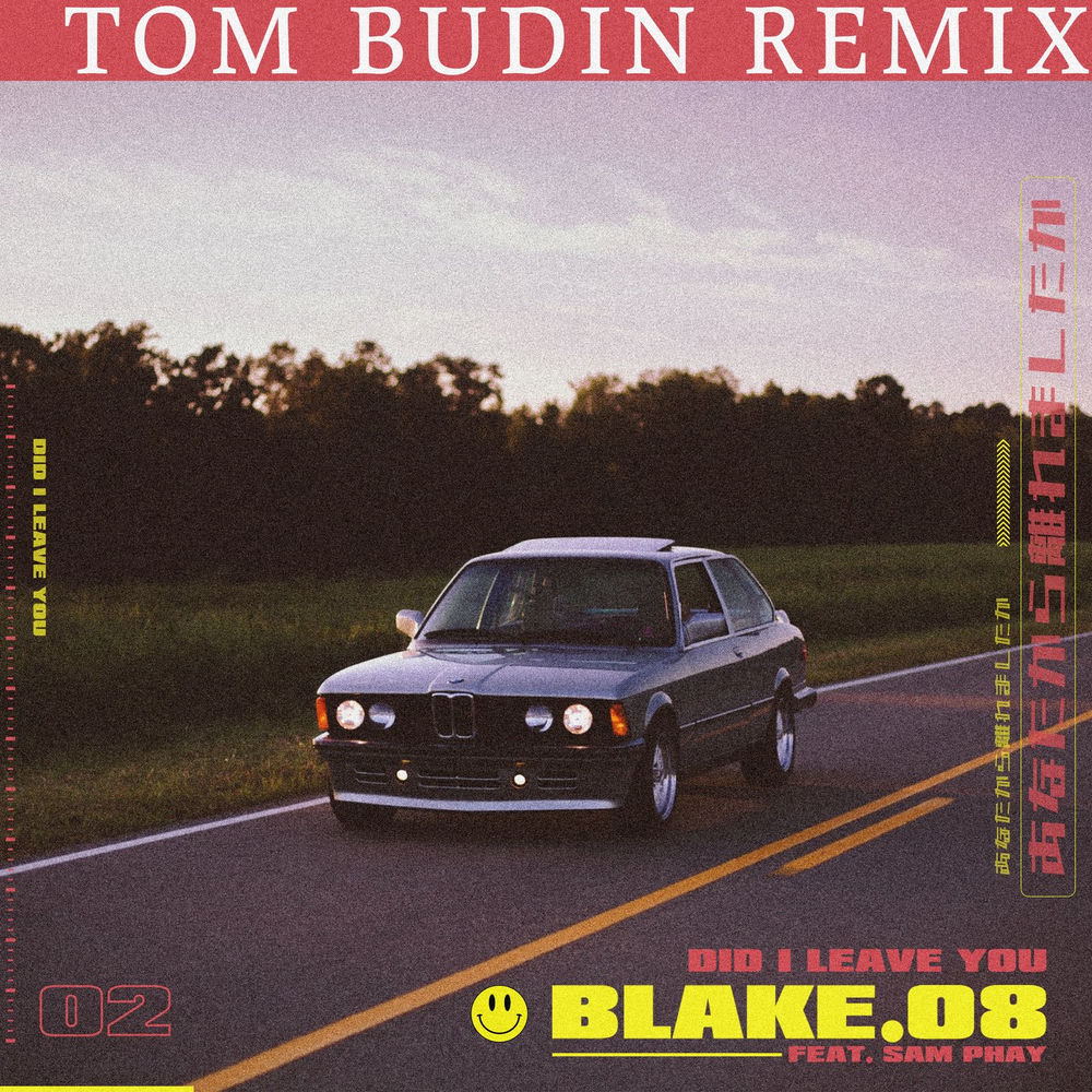 Album artwork for Did I Leave You (Tom Budin Remix) by Blake.08