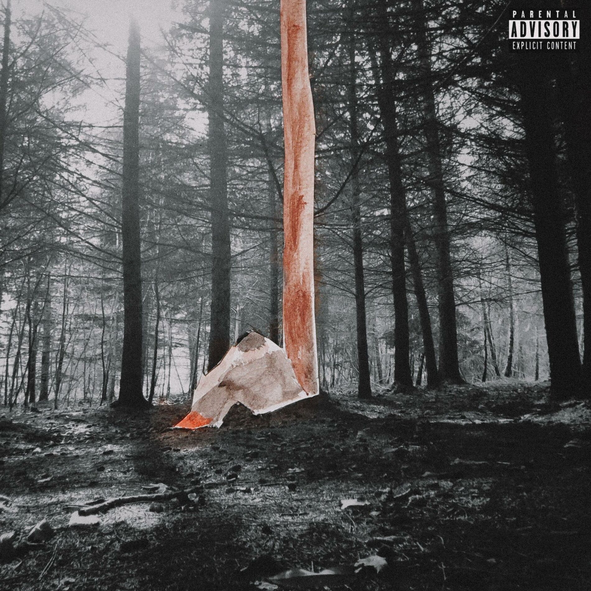 Album cover of Wokup&Friends