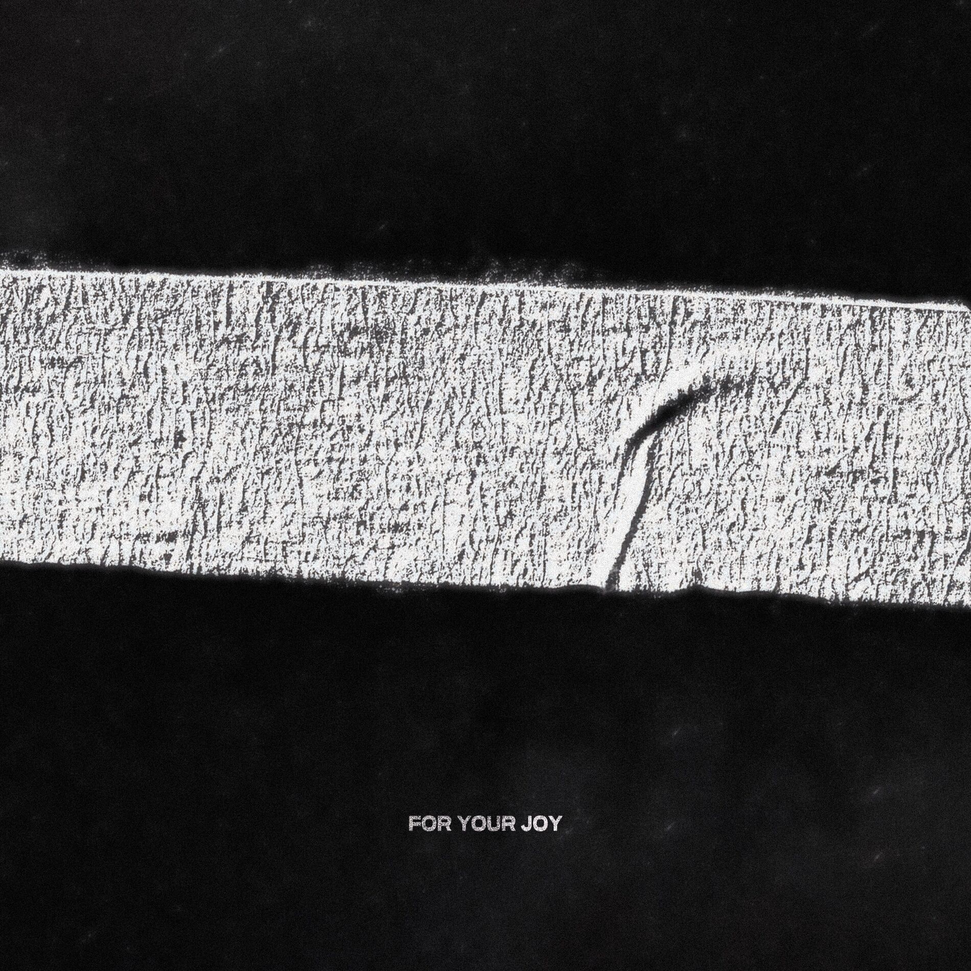 Album cover of For Your Joy
