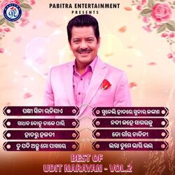 Cover of Best of Udit Narayan, Vol. 2