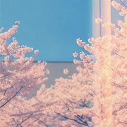 Cover of Spring