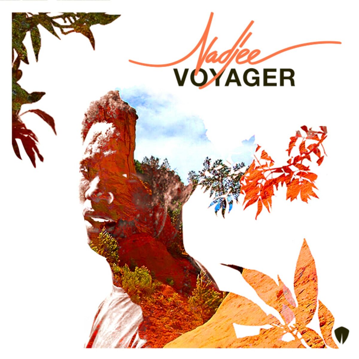 Album cover of Voyager
