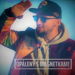Cover of Opálený s magnetkami