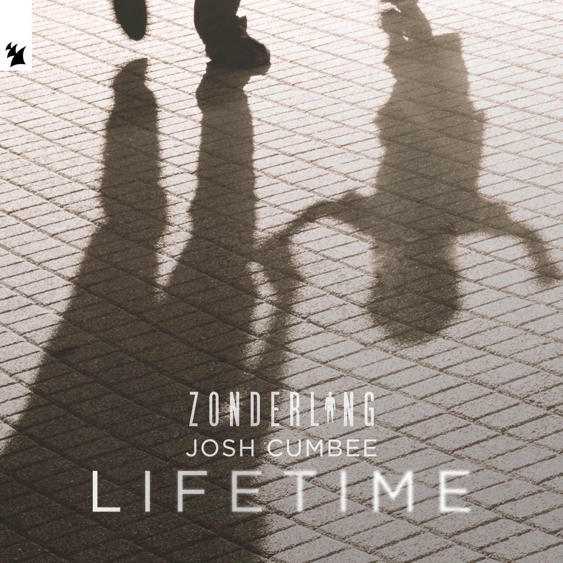 Album cover of Lifetime