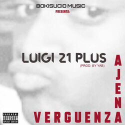 Cover of Verguenza Ajena