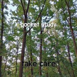 Cover of pocket study