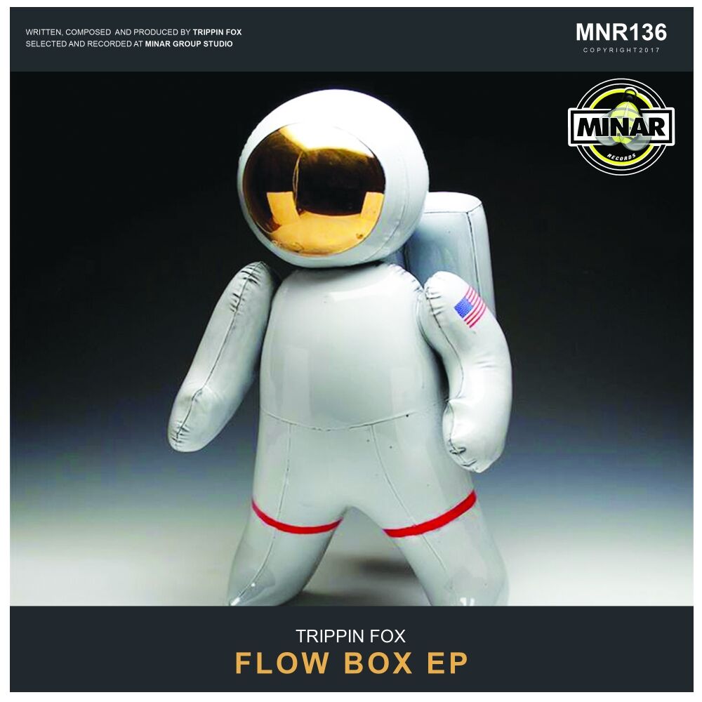 Picture of Flow Box EP