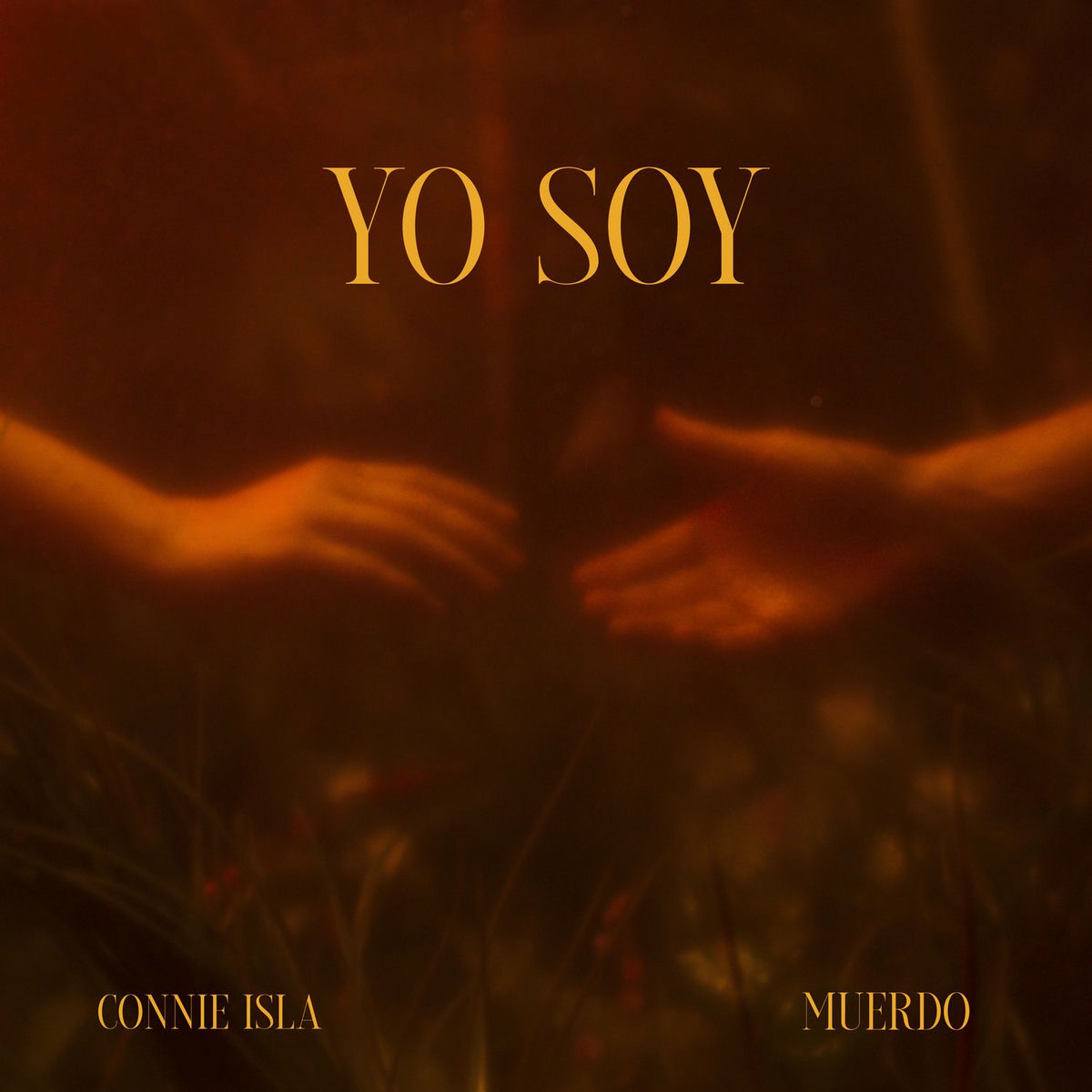 Album cover of Yo Soy